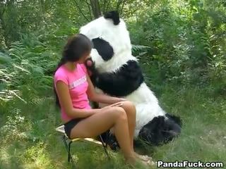 セックス で ザ· 森 ととも​​に a 巨大な おもちゃ panda